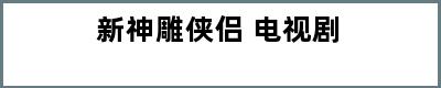 新神雕侠侣 电视剧